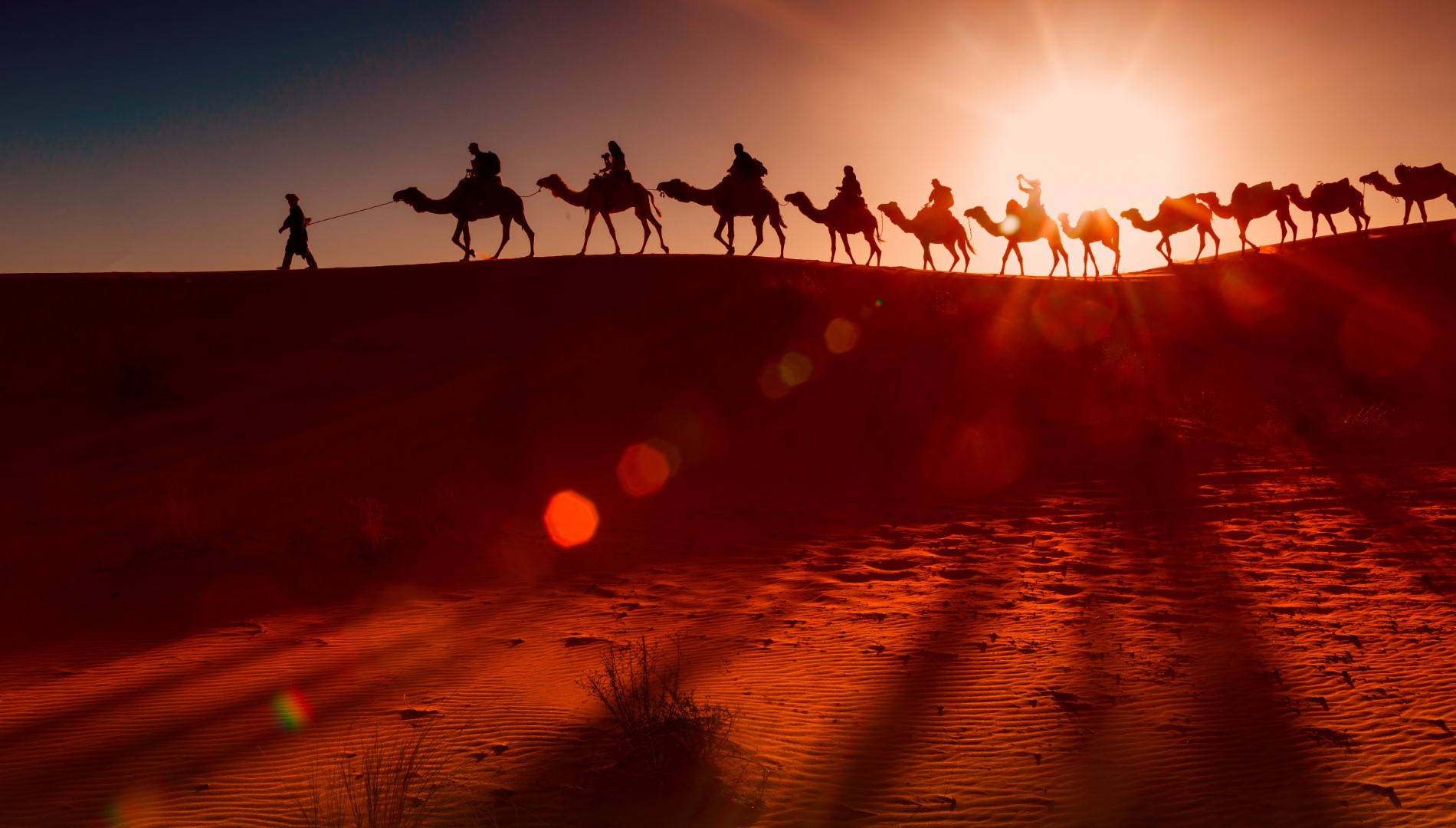 Happy Trails Jaisalmer