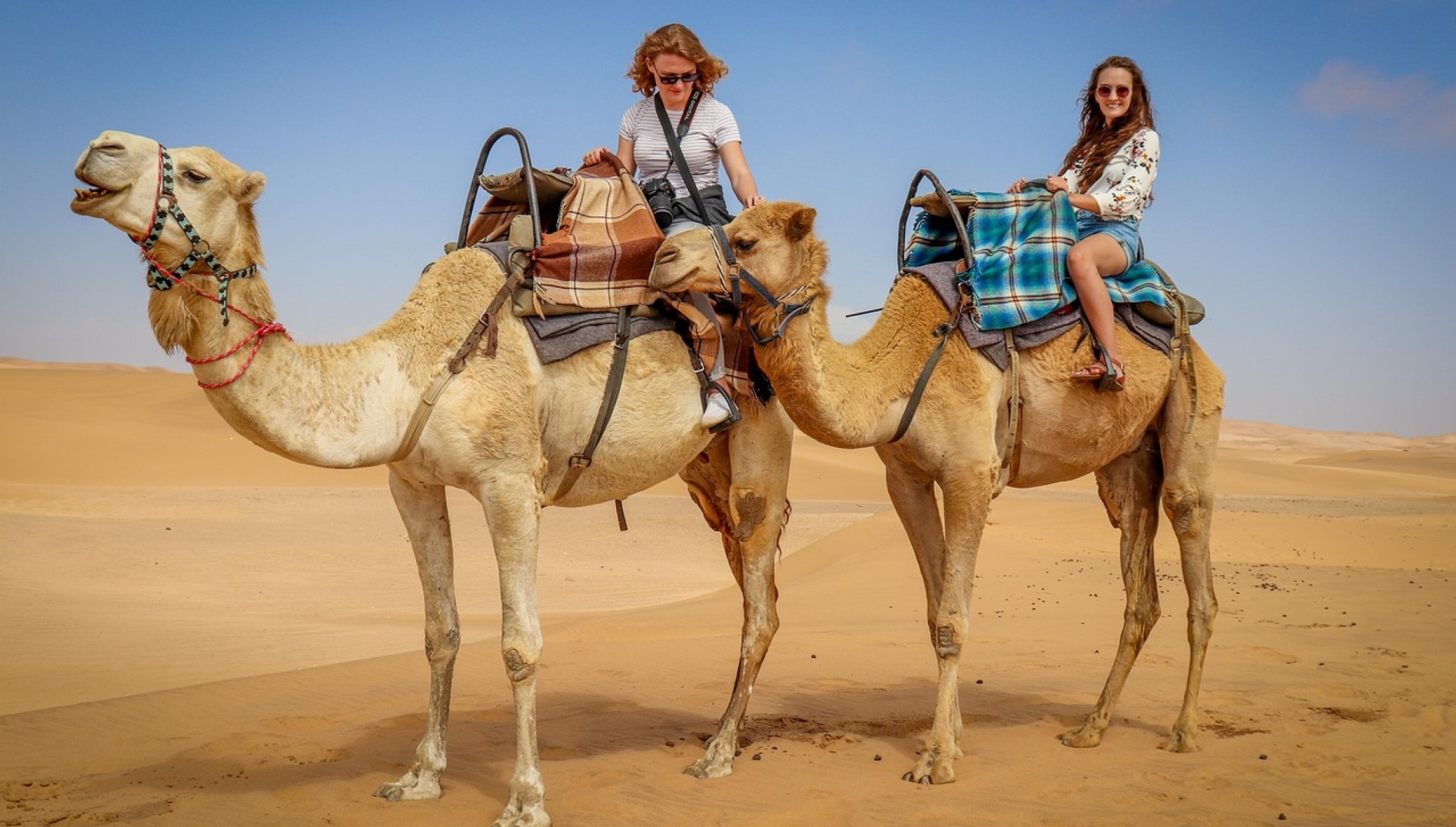 Happy Trails Jaisalmer